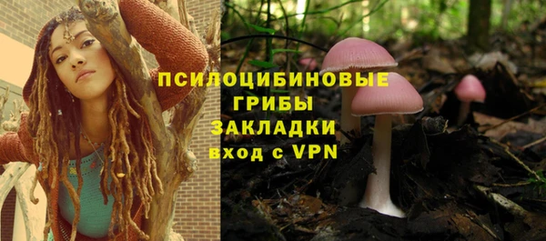 ПСИЛОЦИБИНОВЫЕ ГРИБЫ Киреевск