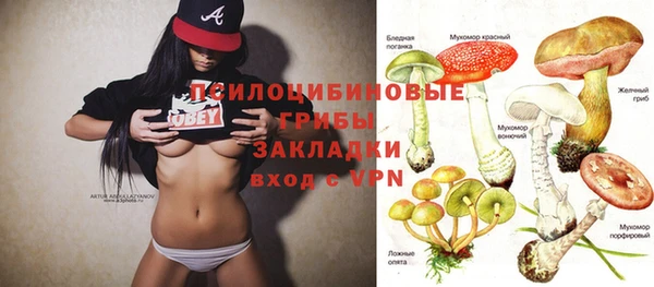 ПСИЛОЦИБИНОВЫЕ ГРИБЫ Киреевск